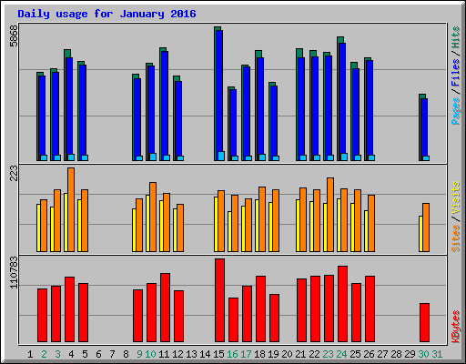 Daily usage for January 2016