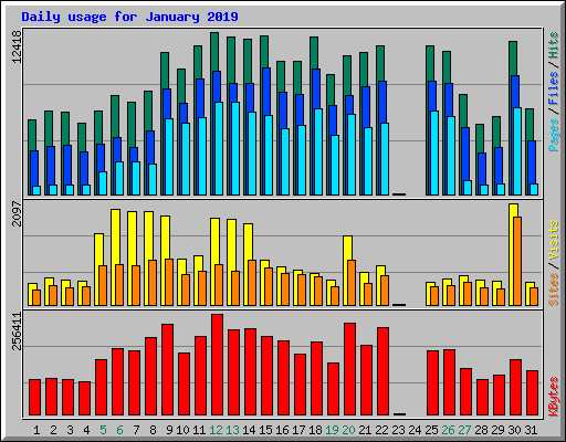Daily usage for January 2019