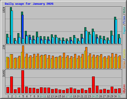 Daily usage for January 2026