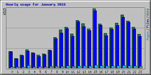 Hourly usage for January 2016