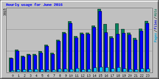 Hourly usage for June 2016