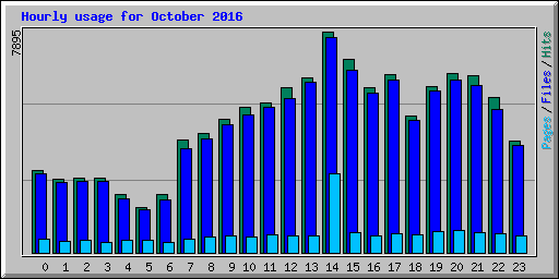Hourly usage for October 2016