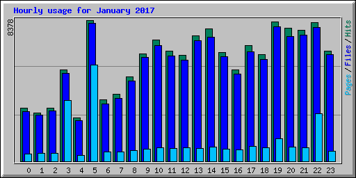 Hourly usage for January 2017