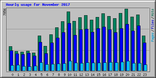 Hourly usage for November 2017