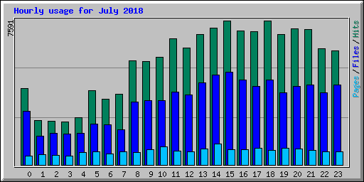 Hourly usage for July 2018
