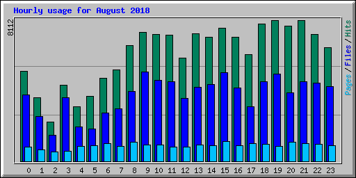 Hourly usage for August 2018
