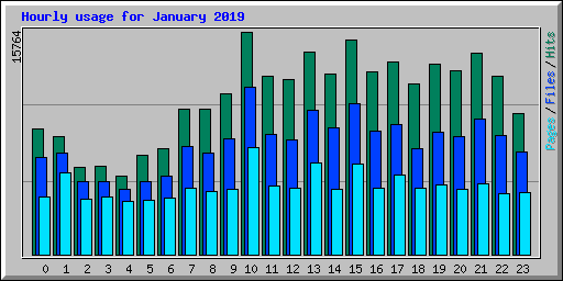 Hourly usage for January 2019