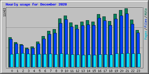 Hourly usage for December 2020