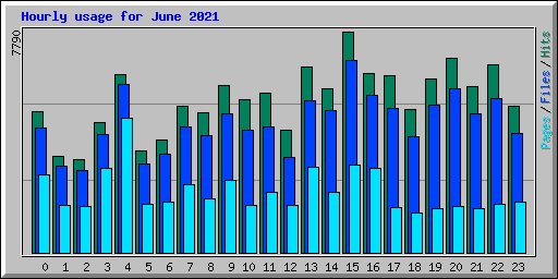Hourly usage for June 2021