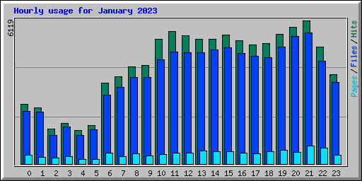 Hourly usage for January 2023