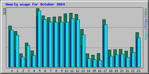 Hourly usage for October 2024