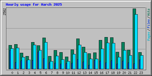 Hourly usage for March 2025