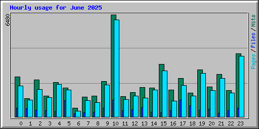 Hourly usage for June 2025