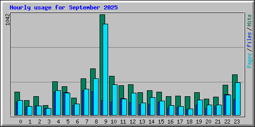 Hourly usage for September 2025