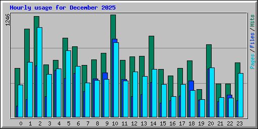 Hourly usage for December 2025