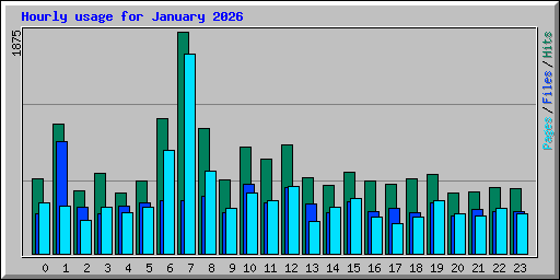 Hourly usage for January 2026
