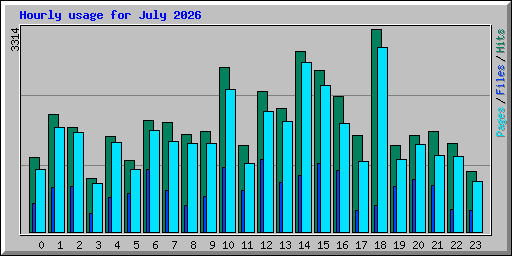 Hourly usage for July 2026