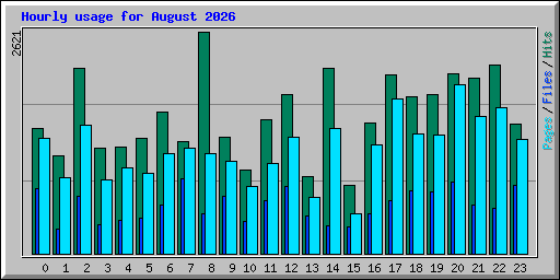 Hourly usage for August 2026